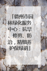 德州市园林绿化服务中心：抗旱、修剪、防治，精细养护保绿荫