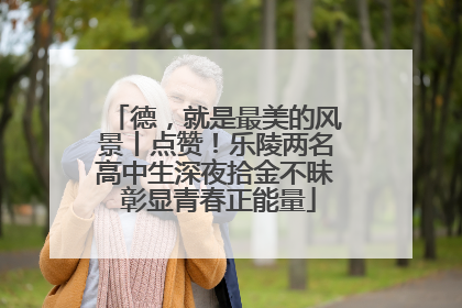 德，就是最美的风景丨点赞！乐陵两名高中生深夜拾金不昧 彰显青春正能量