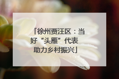 徐州贾汪区：当好“头雁”代表 助力乡村振兴