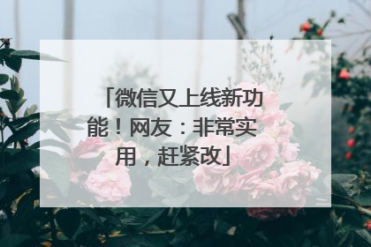 微信又上线新功能！网友：非常实用，赶紧改
