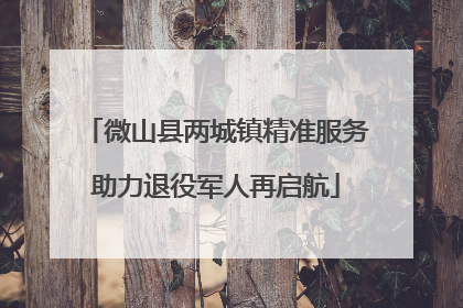 微山县两城镇精准服务助力退役军人再启航