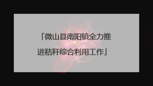微山县南阳镇全力推进秸秆综合利用工作