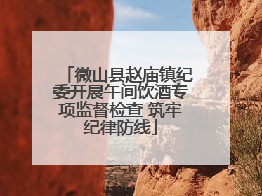 微山县赵庙镇纪委开展午间饮酒专项监督检查 筑牢纪律防线