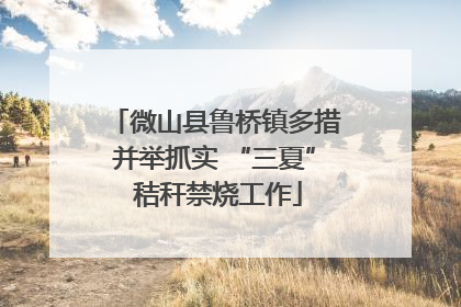 微山县鲁桥镇多措并举抓实 “三夏” 秸秆禁烧工作