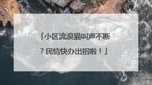 小区流浪猫叫声不断？民情快办出招啦！