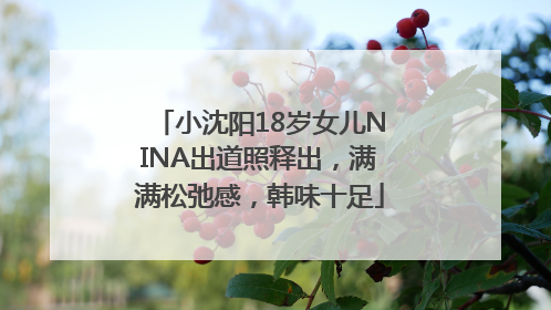小沈阳18岁女儿NINA出道照释出，满满松弛感，韩味十足