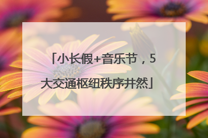 小长假+音乐节，5大交通枢纽秩序井然