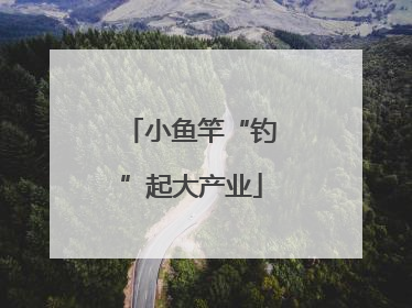 小鱼竿“钓”起大产业