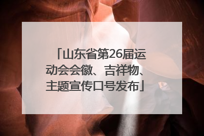 山东省第26届运动会会徽、吉祥物、主题宣传口号发布