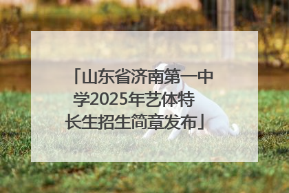 山东省济南第一中学2025年艺体特长生招生简章发布