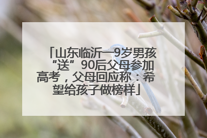 山东临沂一9岁男孩“送”90后父母参加高考，父母回应称：希望给孩子做榜样