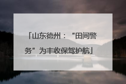 山东德州：“田间警务”为丰收保驾护航