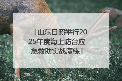 山东日照举行2025年度海上防台应急救助实战演练