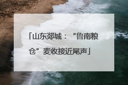山东郯城：“鲁南粮仓”麦收接近尾声