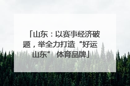 山东：以赛事经济破题，举全力打造“好运山东” 体育品牌