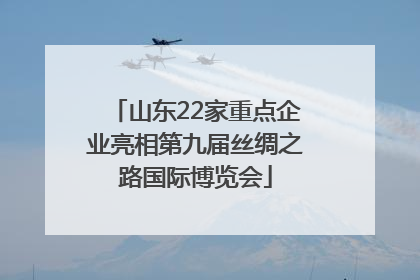 山东22家重点企业亮相第九届丝绸之路国际博览会