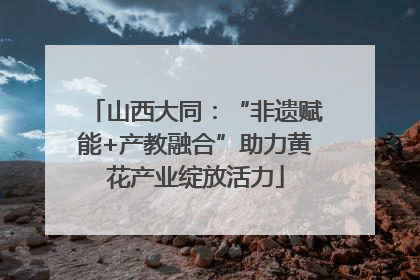 山西大同：“非遗赋能+产教融合”助力黄花产业绽放活力