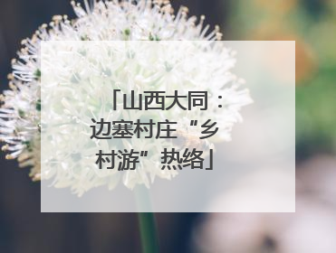 山西大同：边塞村庄“乡村游”热络