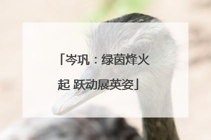 岑巩：绿茵烽火起 跃动展英姿