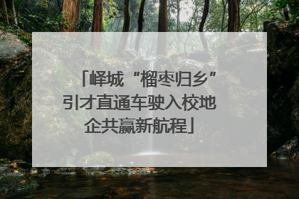 峄城“榴枣归乡”引才直通车驶入校地企共赢新航程
