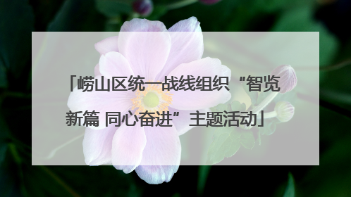崂山区统一战线组织“智览新篇 同心奋进”主题活动