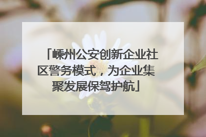 嵊州公安创新企业社区警务模式，为企业集聚发展保驾护航