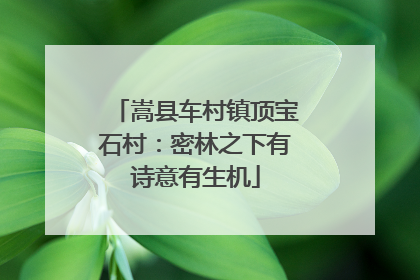 嵩县车村镇顶宝石村：密林之下有诗意有生机