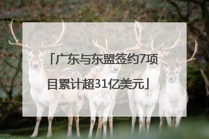 广东与东盟签约7项目累计超31亿美元