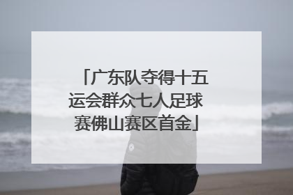 广东队夺得十五运会群众七人足球赛佛山赛区首金