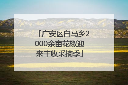 广安区白马乡2000余亩花椒迎来丰收采摘季