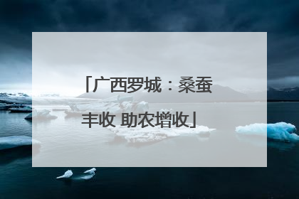 广西罗城：桑蚕丰收 助农增收