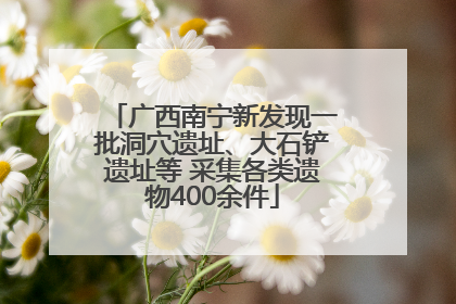 广西南宁新发现一批洞穴遗址、大石铲遗址等 采集各类遗物400余件
