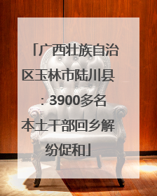 广西壮族自治区玉林市陆川县：3900多名本土干部回乡解纷促和