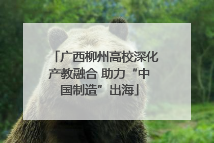 广西柳州高校深化产教融合 助力“中国制造”出海