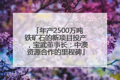 年产2500万吨铁矿石的新项目投产，宝武董事长：中澳资源合作的里程碑