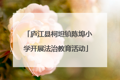 庐江县柯坦镇陈埠小学开展法治教育活动