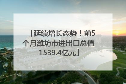 延续增长态势！前5个月潍坊市进出口总值1539.4亿元