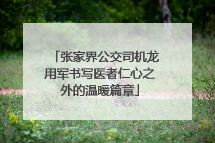张家界公交司机龙用军书写医者仁心之外的温暖篇章