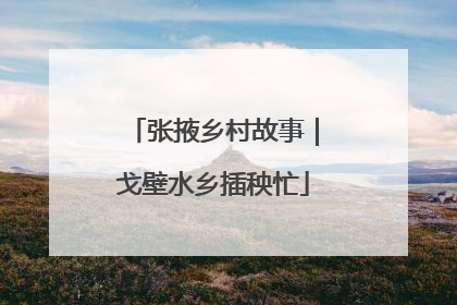 张掖乡村故事｜戈壁水乡插秧忙