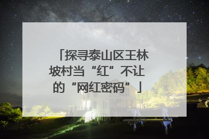 探寻泰山区王林坡村当“红”不让的“网红密码”