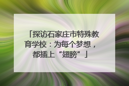 探访石家庄市特殊教育学校：为每个梦想，都插上“翅膀”