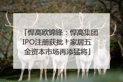 悍高欧锦锋：悍高集团IPO注册获批！家居五金资本市场再添猛将