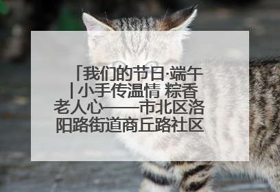 我们的节日·端午│小手传温情 粽香老人心——市北区洛阳路街道商丘路社区携手共建单位开展端午主题活动