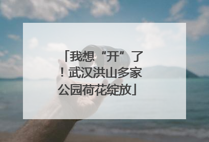 我想“开”了！武汉洪山多家公园荷花绽放