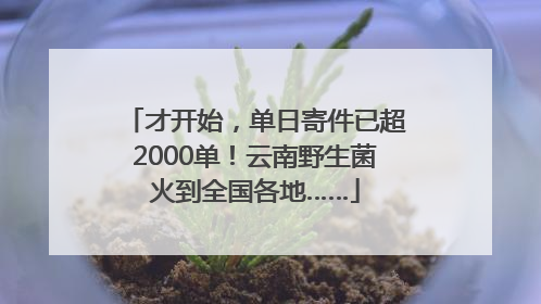 才开始，单日寄件已超2000单！云南野生菌火到全国各地……