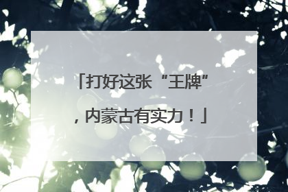 打好这张“王牌”，内蒙古有实力！