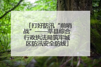 打好防汛“前哨战”——莘县综合行政执法局筑牢城区防汛安全防线