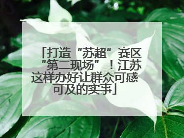 打造“苏超”赛区“第二现场”！江苏这样办好让群众可感可及的实事