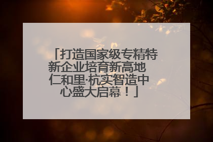 打造国家级专精特新企业培育新高地 仁和里·杭实智造中心盛大启幕！