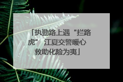 执勤路上遇“拦路虎” 江夏交警暖心救助化险为夷